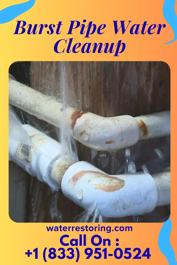 Burst Pipe Water Cleanup in Avant, OK