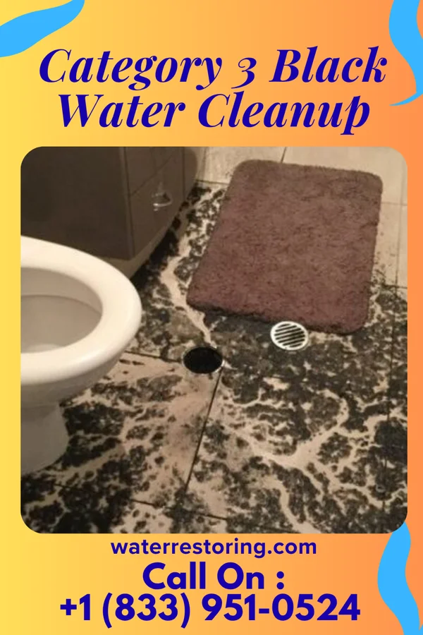 Category 3 Black Water Cleanup in Avant, OK